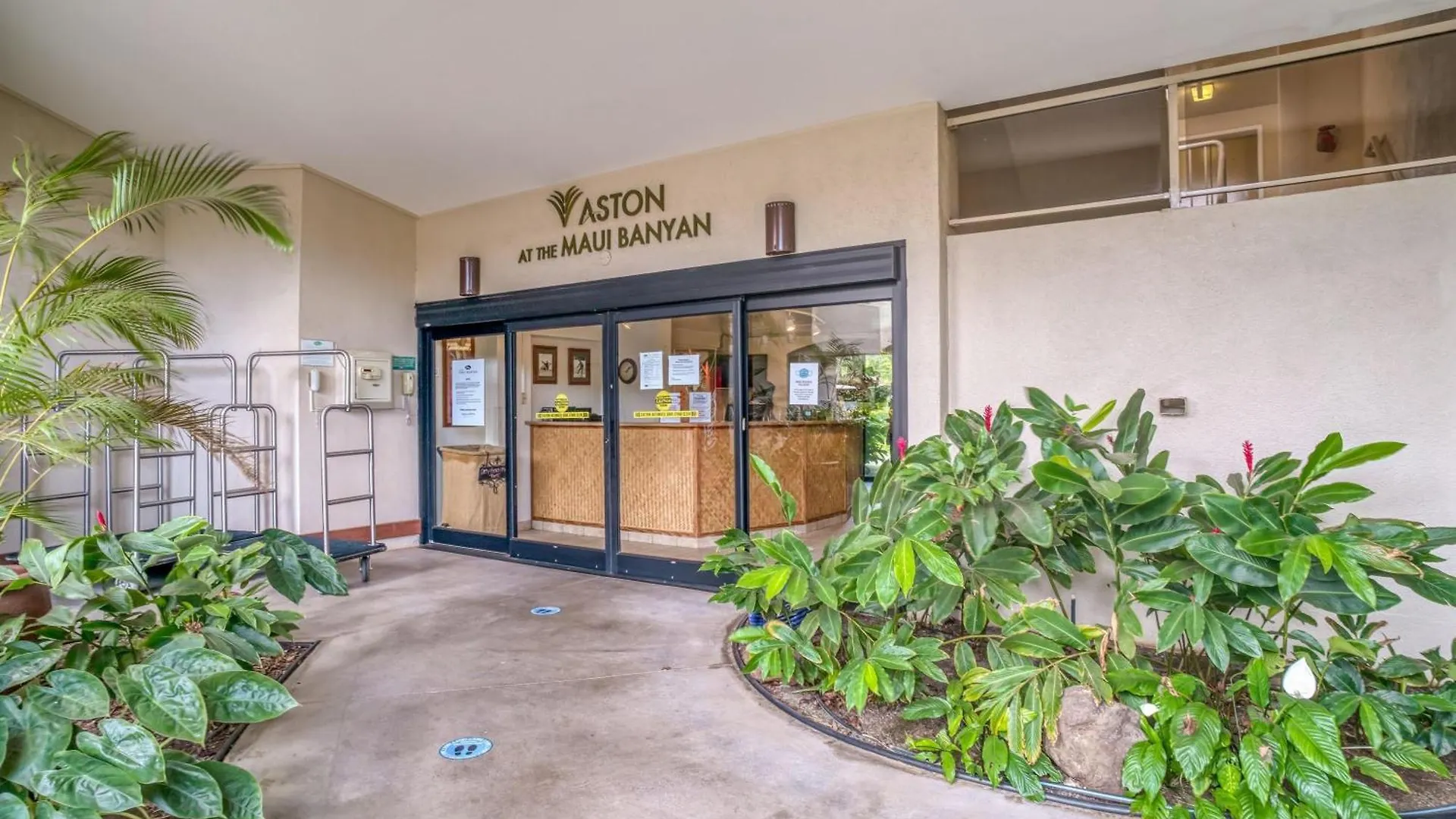 Vila Maui Banyan H506 Wailea